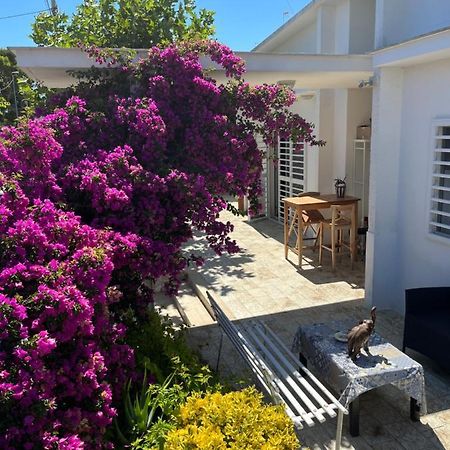 Il Platano Di Nathaly Hotel Bari Kültér fotó